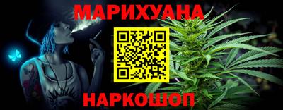 шишки Камышлов