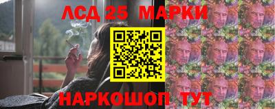 шишки Камышлов