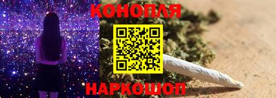 шишки Камышлов